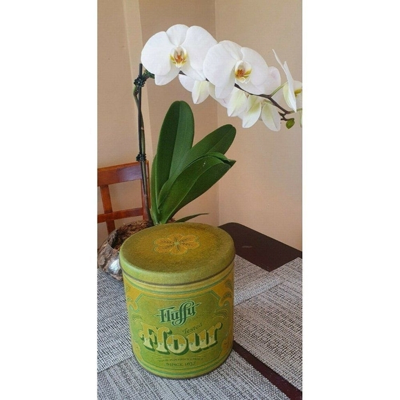 4 Pc Vintage Fluffy Brite White Sunshine Golden Leaf Tins Flour Sugar Coffee Tea - Picture 3 of 6
